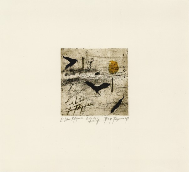 EX LIBRIS | Intaglio chinecolle | 30x30cm | 2016